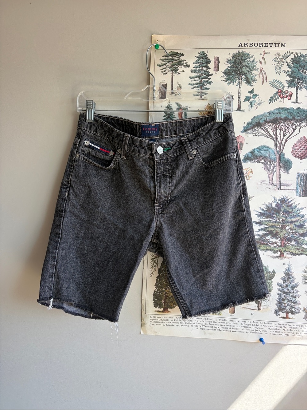 Tommy Hilfiger Charcoal Black Denim Cutoff Shorts waist 30